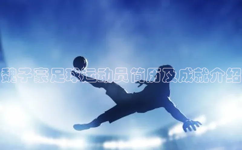 熊猫体育手机版下载百度游戏开放平台魏子豪足球运动员简历及成就介绍