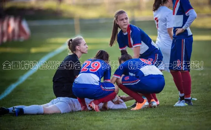 熊猫体育手机版下载百度游戏开放平台全面解读儋州运动会足球赛程，精彩对决一览无遗！