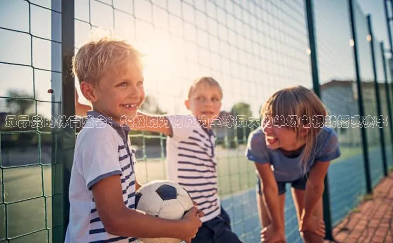 熊猫体育手机版下载中文在线最昂贵的体育盛会：超级碗为何成为全球最大的单场电视转播费赛事
