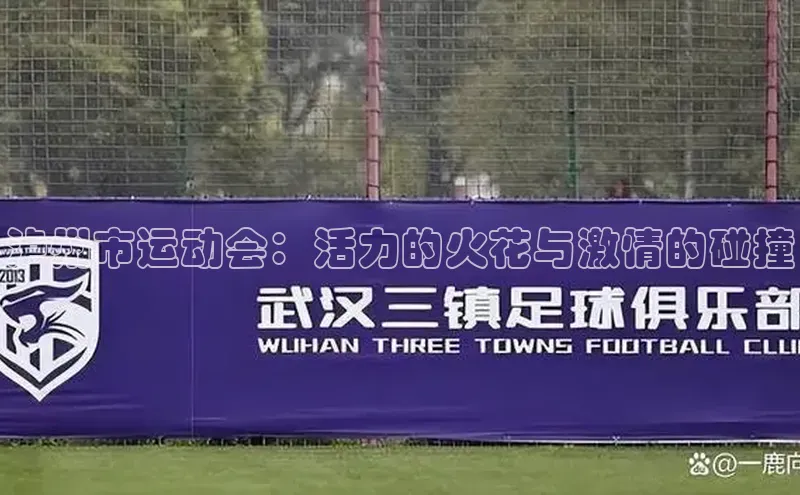 熊猫体育直播网易泸州市运动会：活力的火花与激情的碰撞