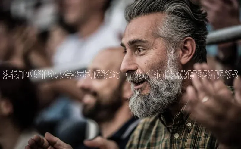熊猫体育官方网站皮阿诺活力四射的小学运动盛会：一场全面的体育交流盛宴
