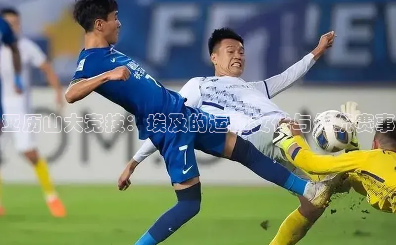 亚历山大竞技：埃及的运动文化与传统赛事