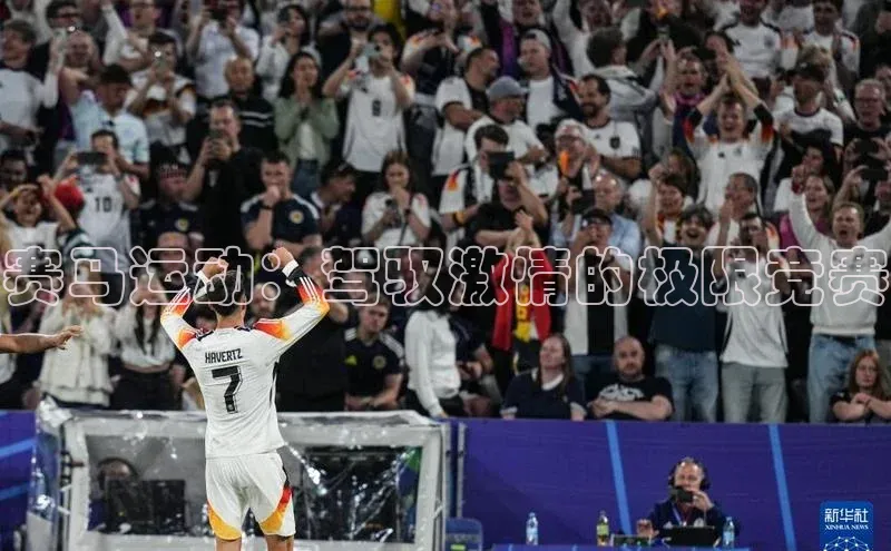 赛马运动：驾驭激情的极限竞赛