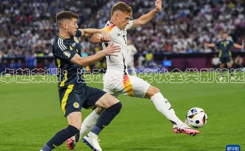 卓越荣耀：运动赛事奖状全类别精选