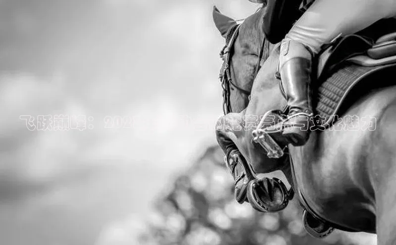 飞跃巅峰：2023年运动会的竞赛亮点与文化魅力