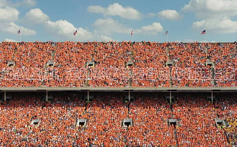 动感旋律：运动赛事伴奏音乐的精选指南