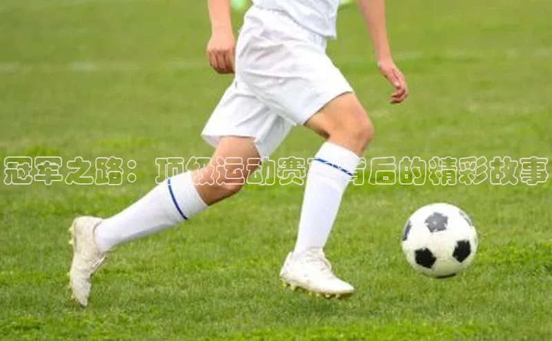 冠军之路：顶级运动赛事背后的精彩故事