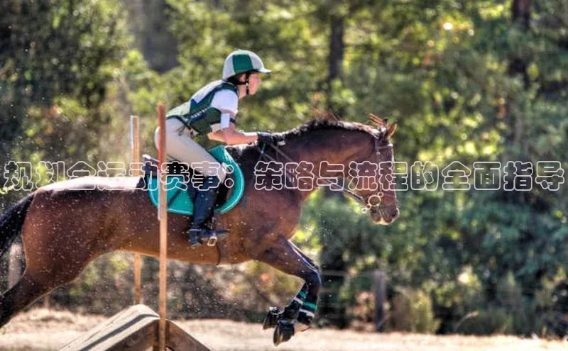 规划全运动赛事：策略与流程的全面指导