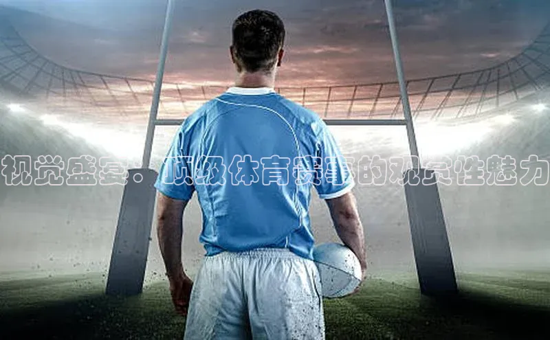 视觉盛宴：顶级体育赛事的观赏性魅力