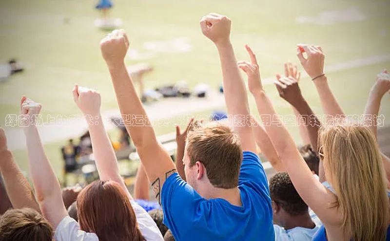 绿茵场上的艺术：大型运动赛事场馆的创意利用与空间转换策略探讨