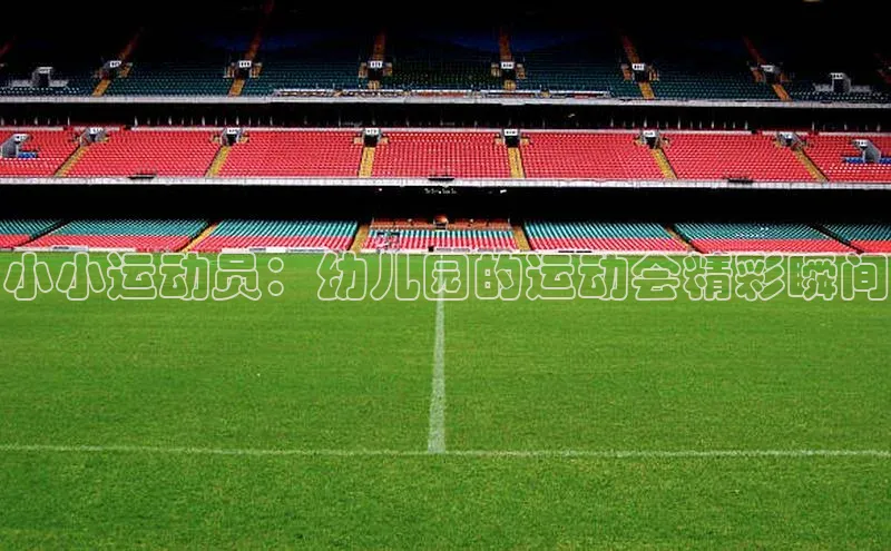 小小运动员：幼儿园的运动会精彩瞬间