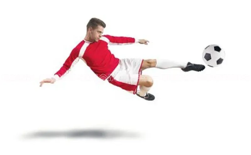 熊猫app官方网站