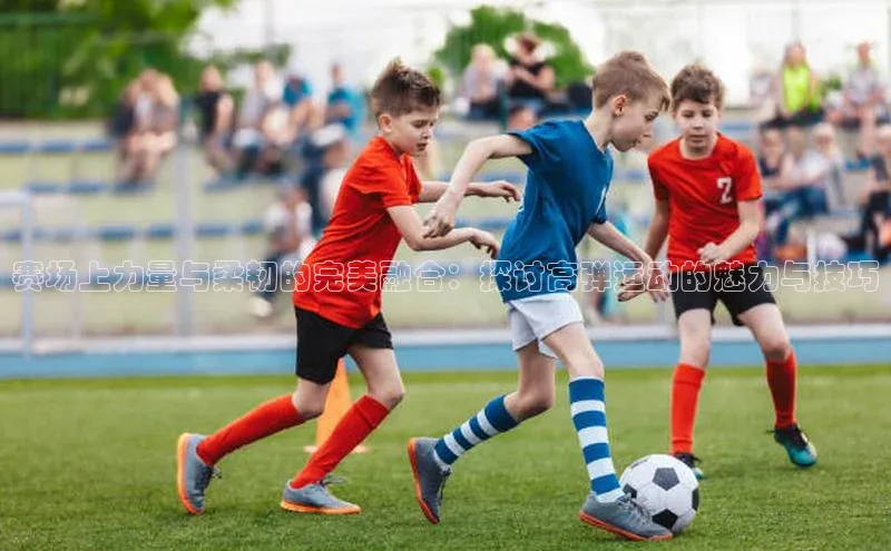 赛场上力量与柔韧的完美融合：探讨高弹运动的魅力与技巧