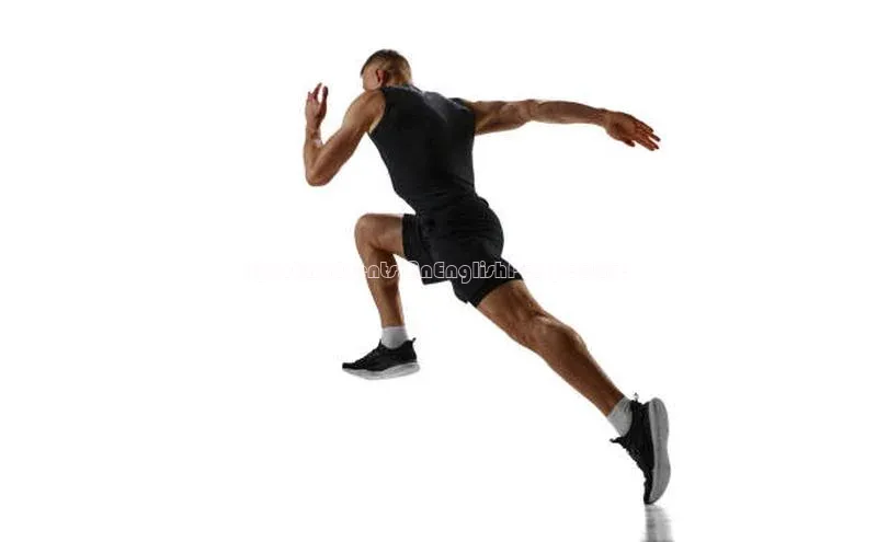 熊猫体育直播app