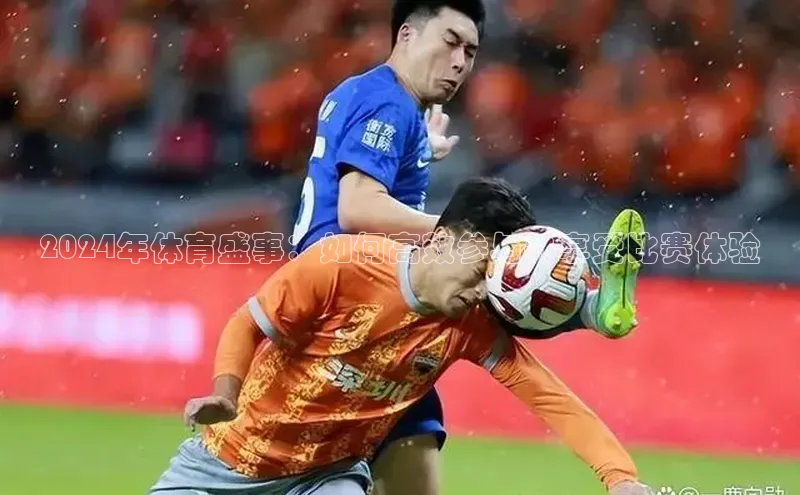 熊猫体育在线观看平台