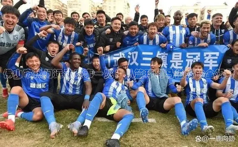 佛山市热门运动赛事一览：从篮球到马拉松的全视野