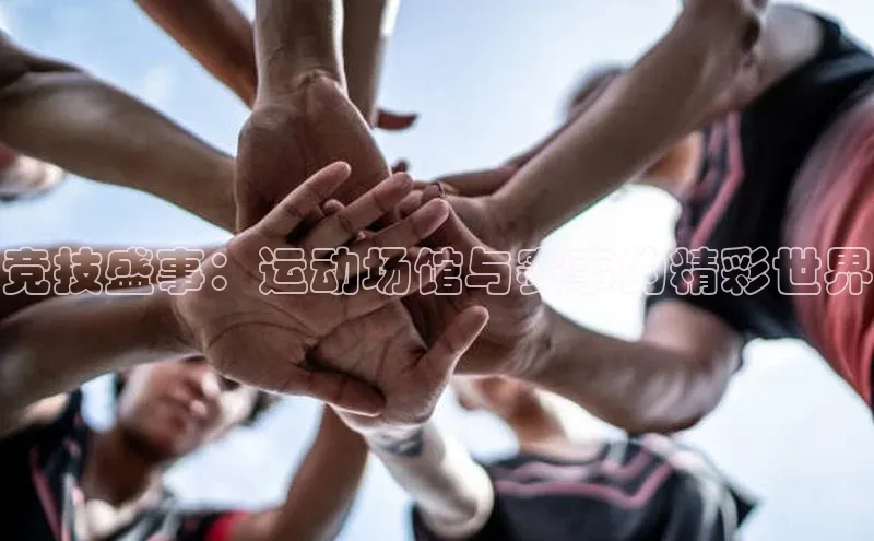 竞技盛事：运动场馆与赛事的精彩世界
